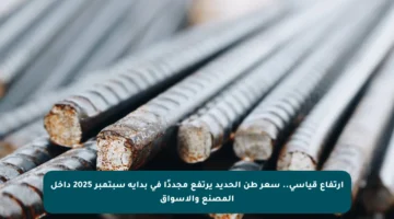 ارتفاع قياسي.. سعر طن الحديد يرتفع مجددًا في بداية سبتمبر 2025 داخل المصنع والأسواق